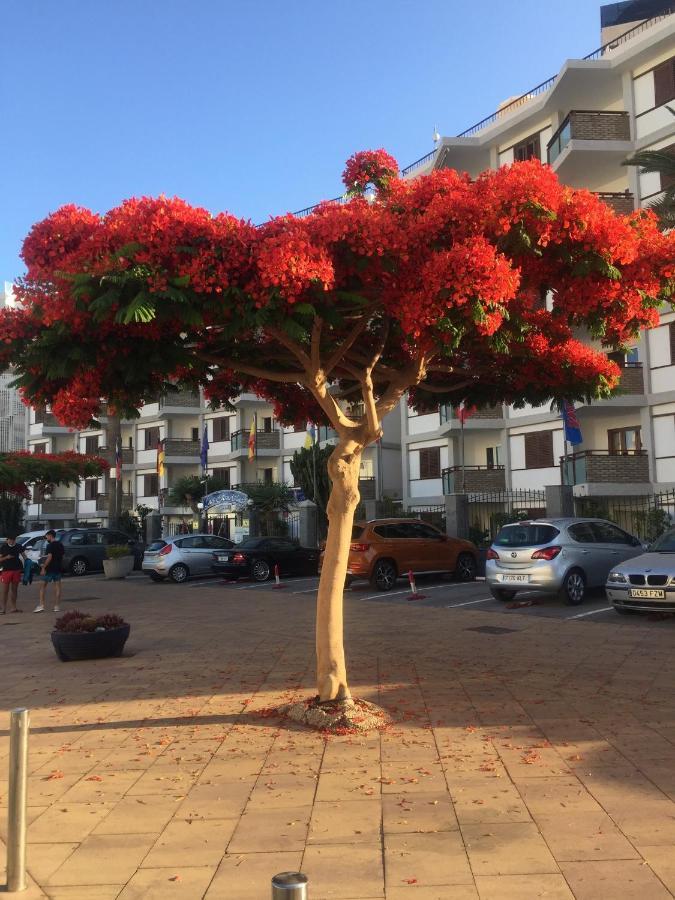 Top Floor Sea View Central Holiday Home Maspalomas  Exterior foto